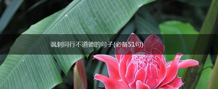 讽刺同行不道德的句子(必备51句),第1张