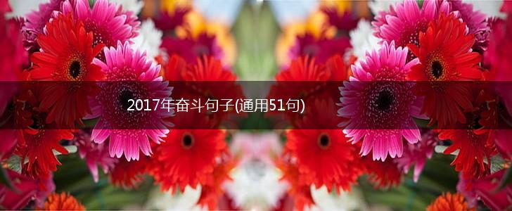 2017年奋斗句子(通用51句),第1张