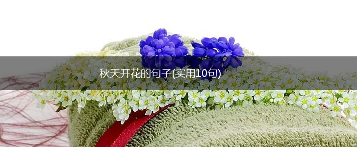 秋天开花的句子(实用10句),第1张