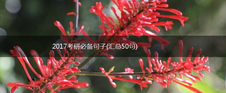2017考研必备句子(汇总50句),第1张