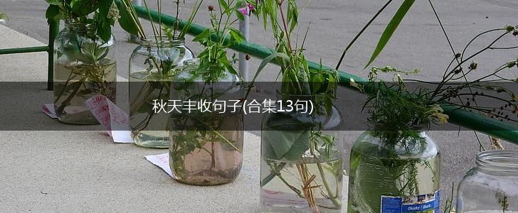 秋天丰收句子(合集13句),第1张
