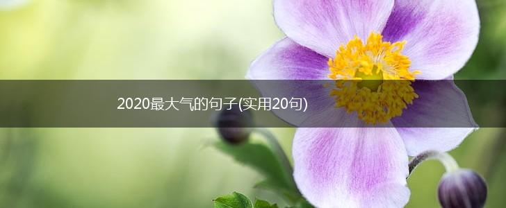 2020最大气的句子(实用20句),第1张