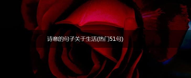 诗意的句子关于生活(热门51句),第1张