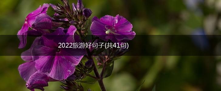 2022旅游好句子(共41句),第1张