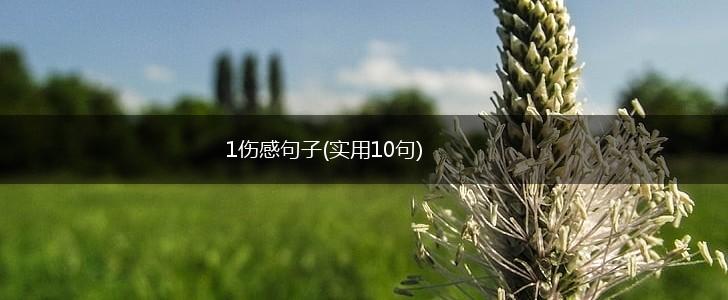 1伤感句子(实用10句),第1张