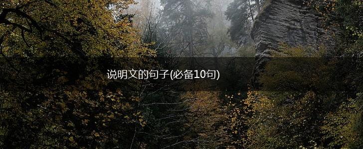 说明文的句子(必备10句),第1张