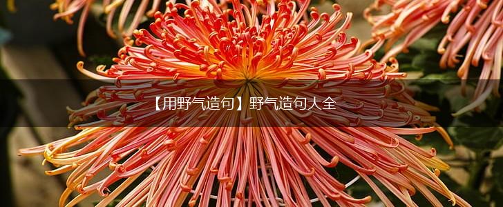 【用野气造句】野气造句大全,第1张