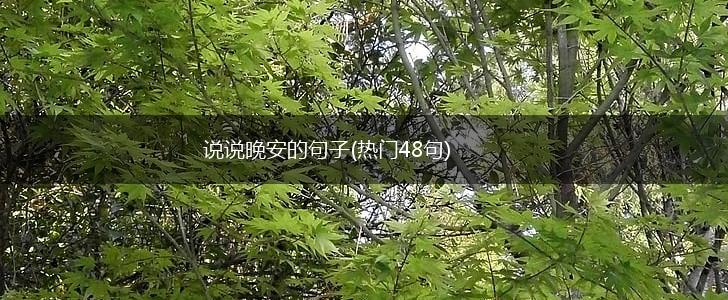 说说晚安的句子(热门48句),第1张