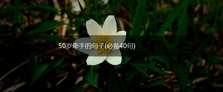 50岁牵手的句子(必备40句),第1张