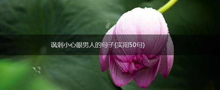 讽刺小心眼男人的句子(实用50句),第1张