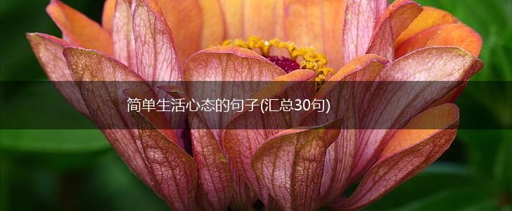 简单生活心态的句子(汇总30句),第1张