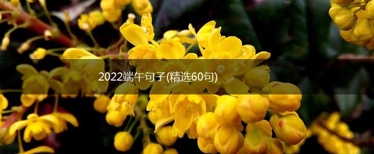 2022端午句子(精选60句),第1张