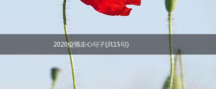 2020疫情走心句子(共15句),第1张