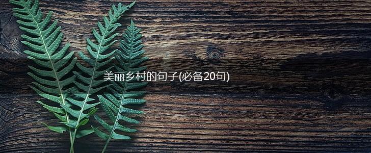 美丽乡村的句子(必备20句),第1张