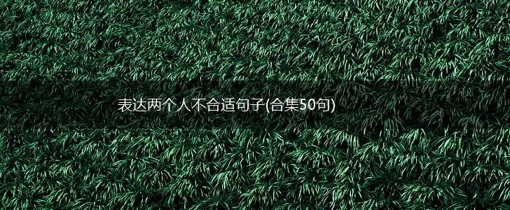 表达两个人不合适句子(合集50句),第1张