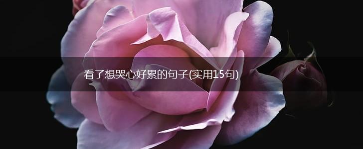看了想哭心好累的句子(实用15句),第1张