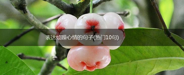 表达烦躁心情的句子(热门10句),第1张