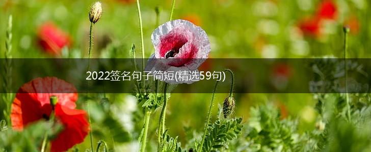2022签名句子简短(精选59句),第1张