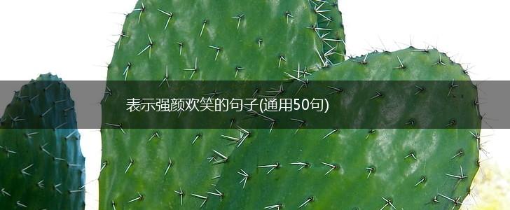 表示强颜欢笑的句子(通用50句),第1张