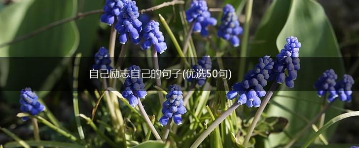 自己励志自己的句子(优选50句),第1张