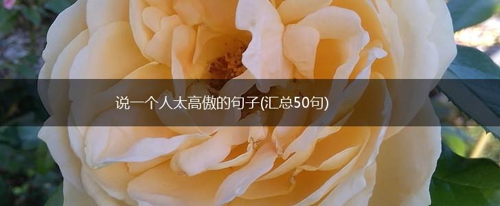 说一个人太高傲的句子(汇总50句),第1张