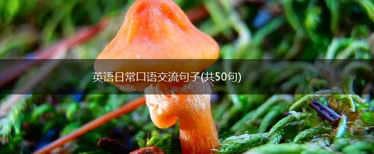 英语日常口语交流句子(共50句),第1张