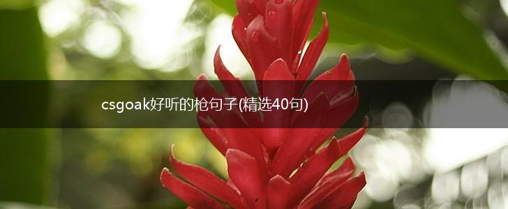 csgoak好听的枪句子(精选40句),第1张