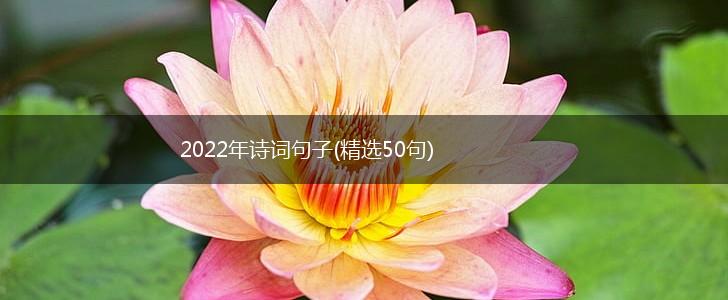 2022年诗词句子(精选50句),第1张
