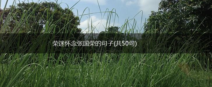 荣迷怀念张国荣的句子(共50句),第1张