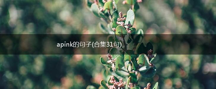 apink的句子(合集31句),第1张