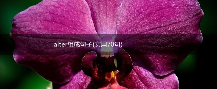 alter组成句子(实用70句),第1张