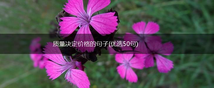 质量决定价格的句子(优选50句),第1张