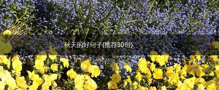 秋天的好句子(推荐30句),第1张