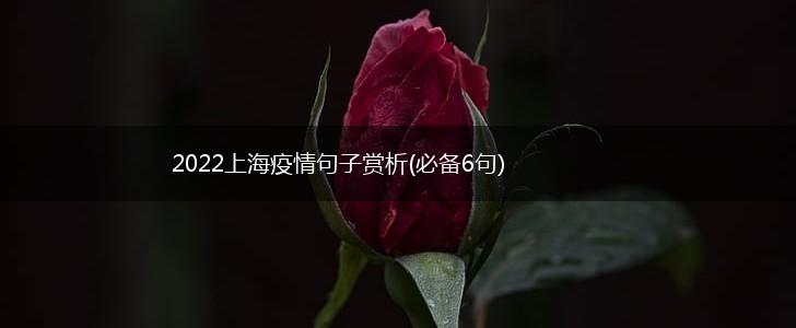 2022上海疫情句子赏析(必备6句),第1张