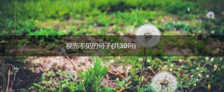 视而不见的句子(共30句),第1张