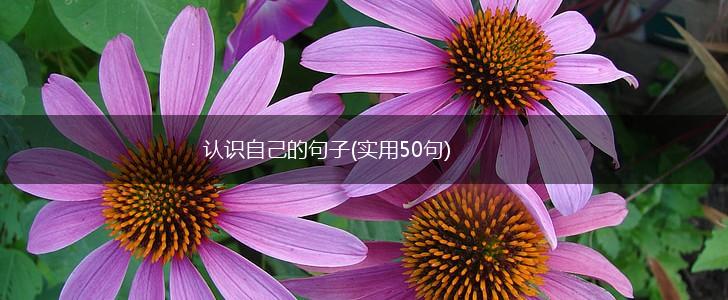 认识自己的句子(实用50句),第1张