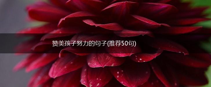 赞美孩子努力的句子(推荐50句),第1张
