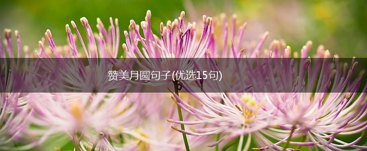 赞美月圆句子(优选15句),第1张