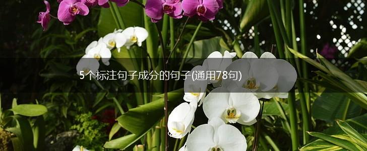 5个标注句子成分的句子(通用78句),第1张
