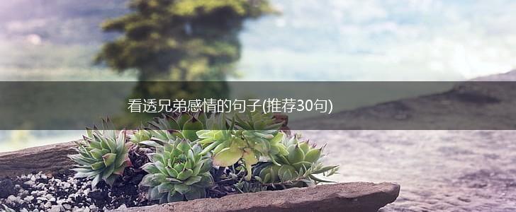 看透兄弟感情的句子(推荐30句),第1张