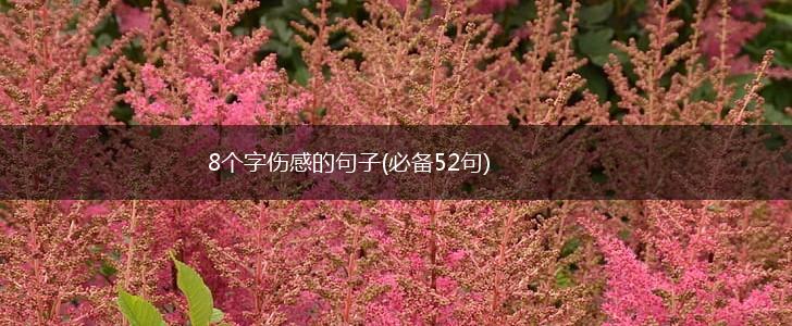 8个字伤感的句子(必备52句),第1张