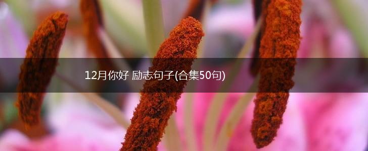 12月你好 励志句子(合集50句),第1张