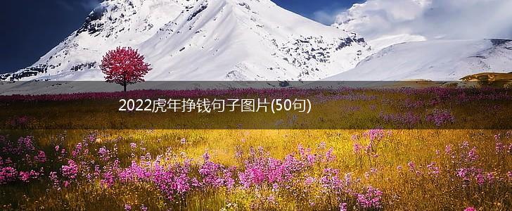 2022虎年挣钱句子图片(50句),第1张