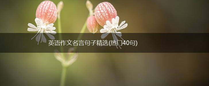 英语作文名言句子精选(热门40句),第1张