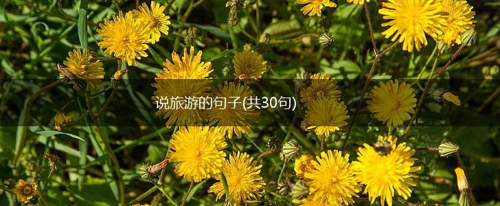 说旅游的句子(共30句),第1张