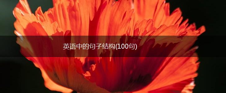 英语中的句子结构(100句),第1张