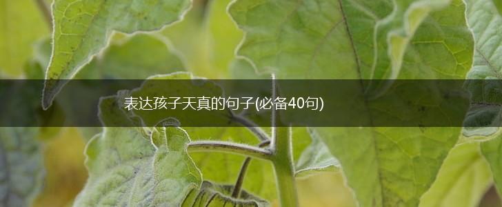 表达孩子天真的句子(必备40句),第1张