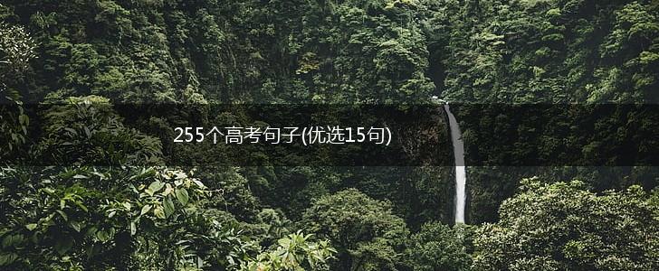 255个高考句子(优选15句),第1张