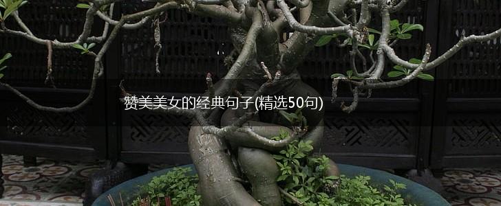 赞美美女的经典句子(精选50句),第1张