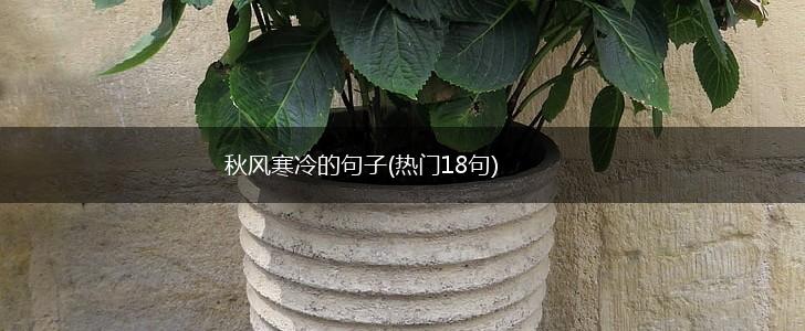 秋风寒冷的句子(热门18句),第1张